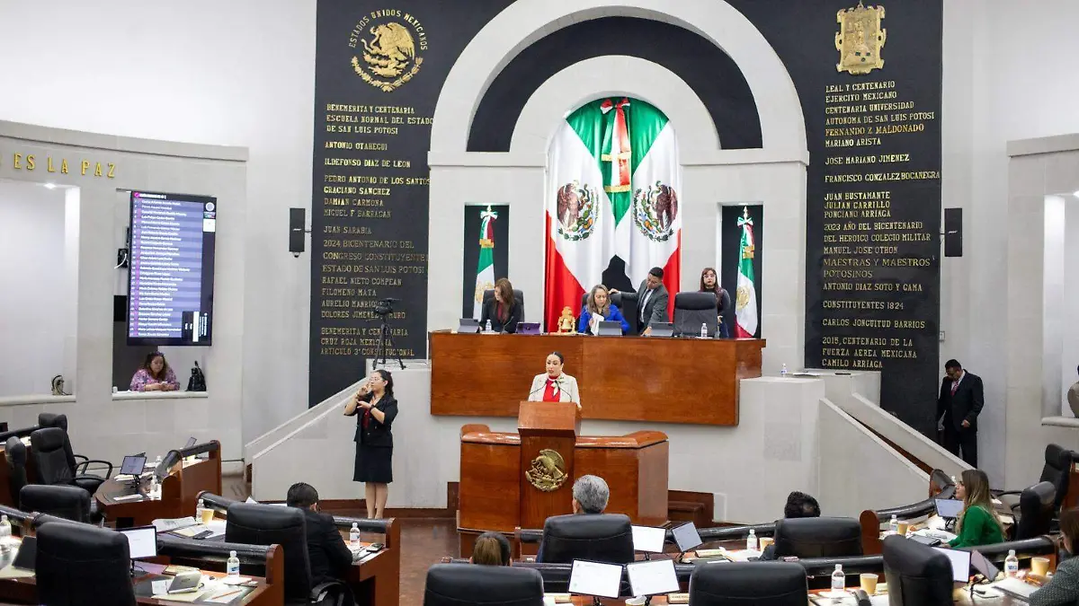 WhatsApp Image 2026-02-17 at 3.09.50 PM