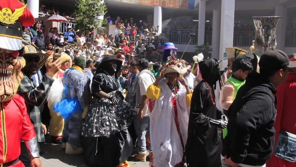 Carnaval de San Juan de Guadalupe