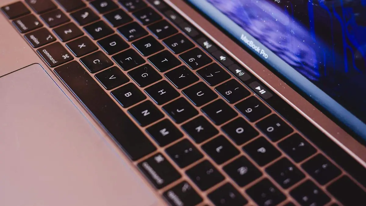 WhatsApp Image 2026-02-17 at 2.15.00 PM