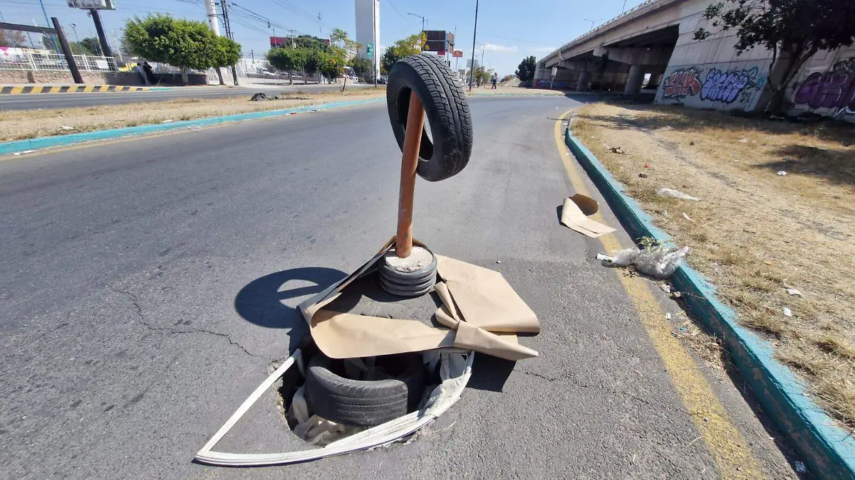 WhatsApp Image 2026-02-17 at 3.06.42 PM