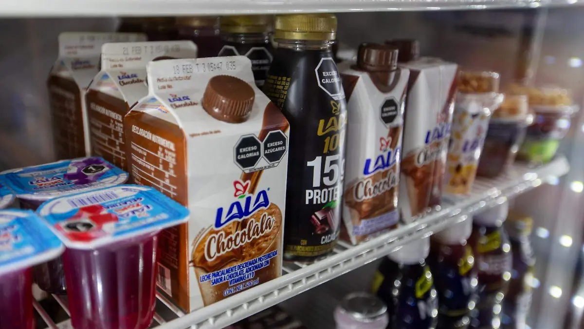 WhatsApp Image 2026-02-17 at 2.45.23 PM