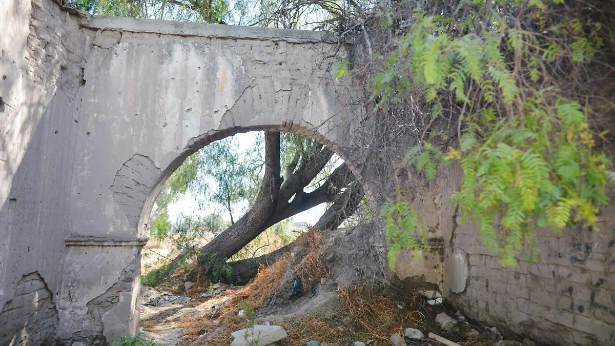 WhatsApp Image 2026-02-17 at 1.38.40 PM