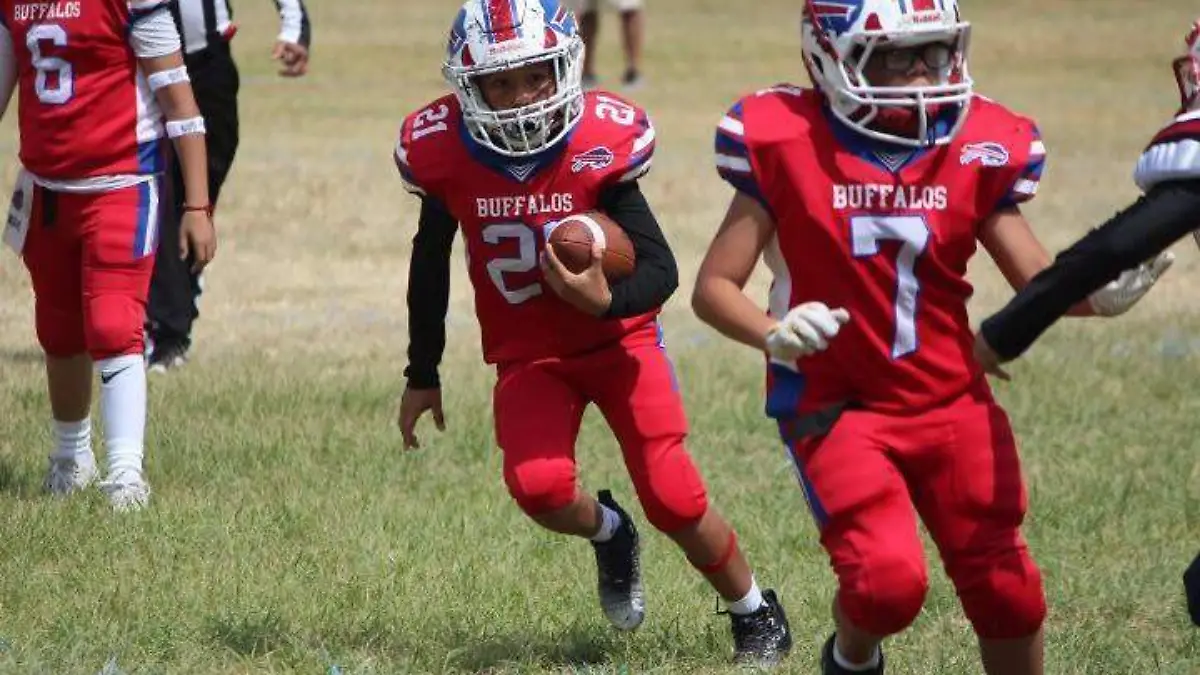 Buffalos San Luis Potosí
