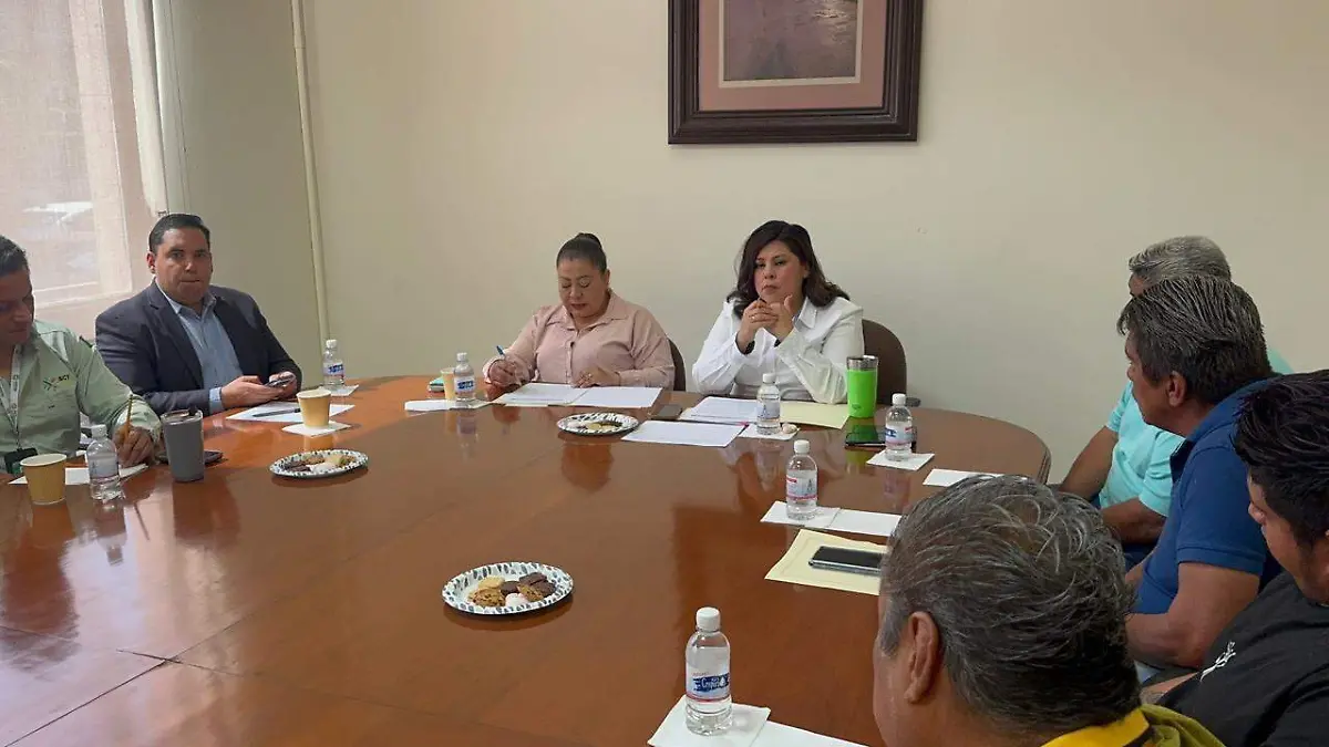 WhatsApp Image 2026-02-18 at 17.26.58 (1)