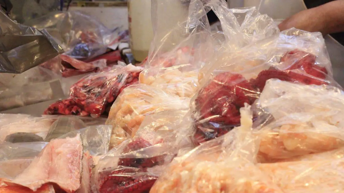 WhatsApp Image 2026-02-18 at 15.28.18