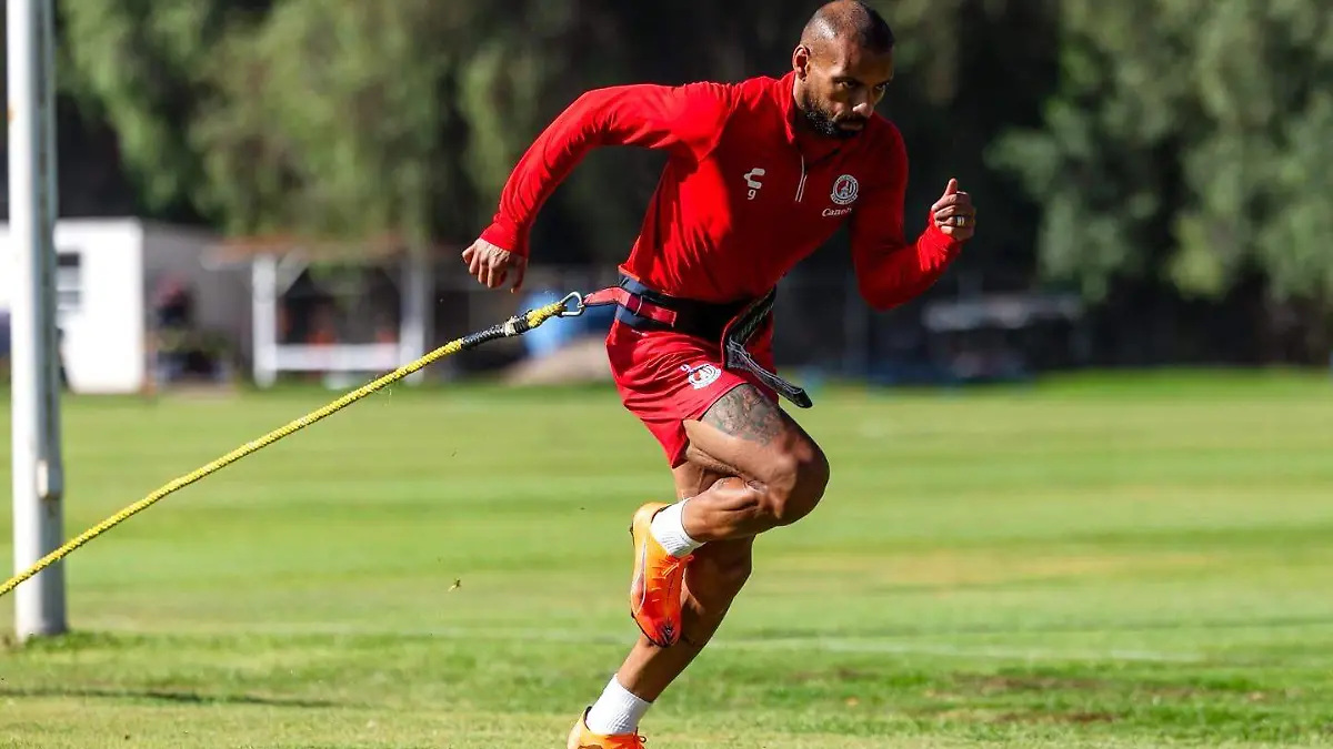 WhatsApp Image 2026-02-18 at 15.55.07