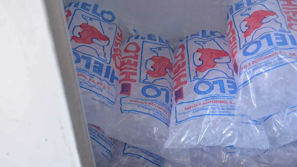 WhatsApp Image 2026-02-18 at 15.20.30