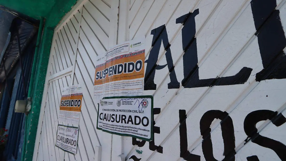 WhatsApp Image 2026-02-18 at 14.34.06