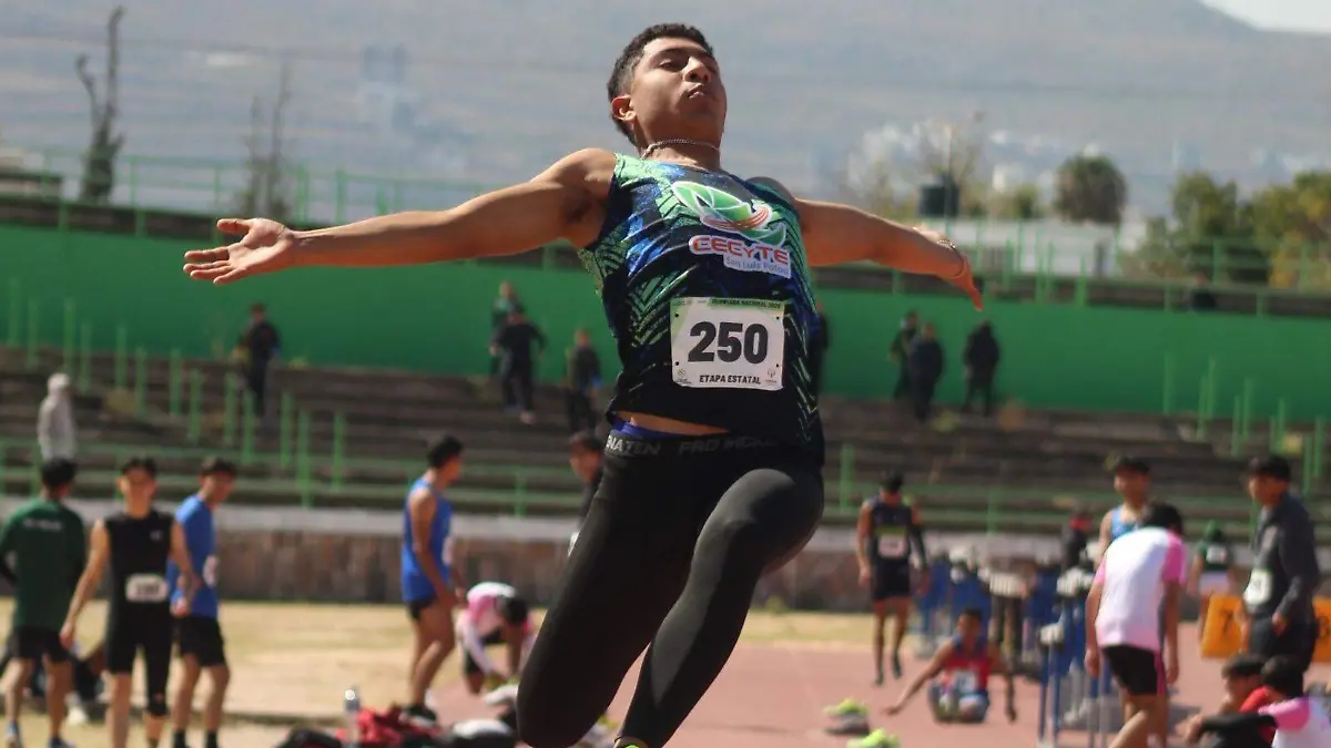 Liga Municipal de Atletismo