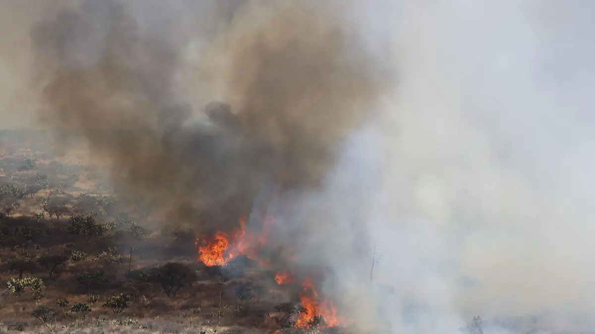 Incendio en Mexquitic (1)