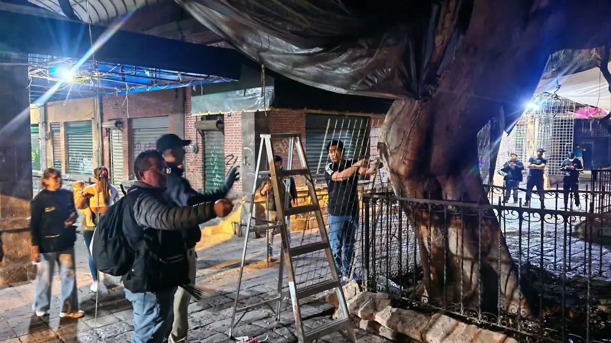 WhatsApp Image 2026-02-19 at 14.05.20