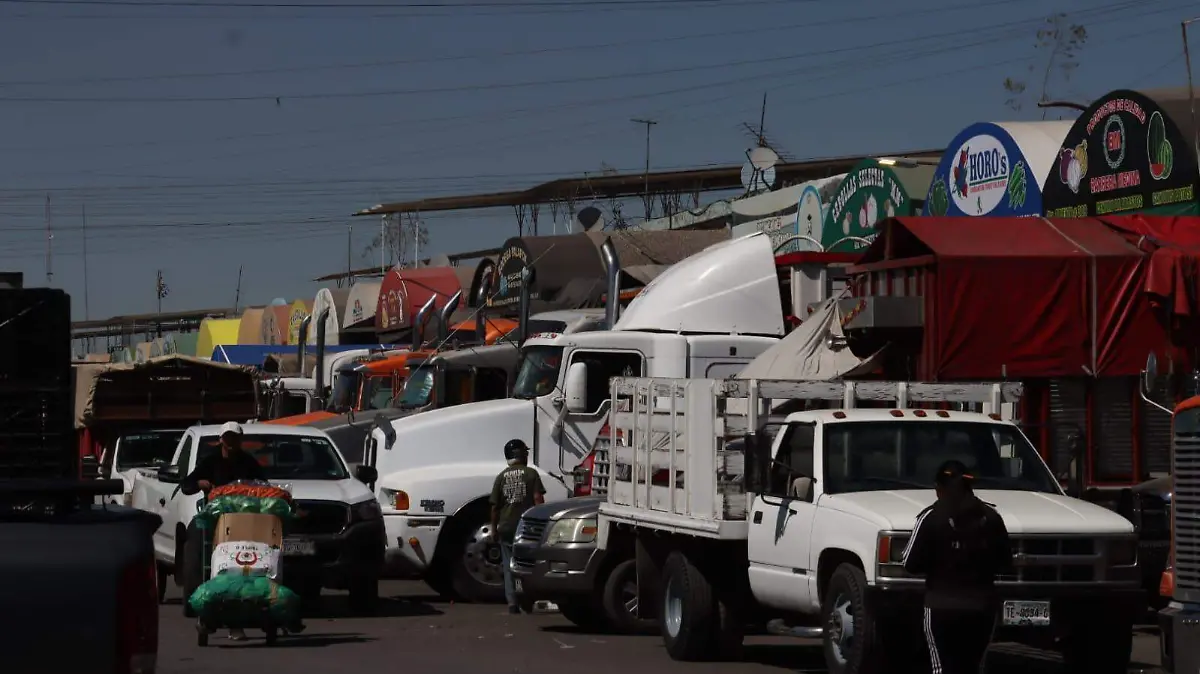 WhatsApp Image 2026-02-19 at 13.18.46