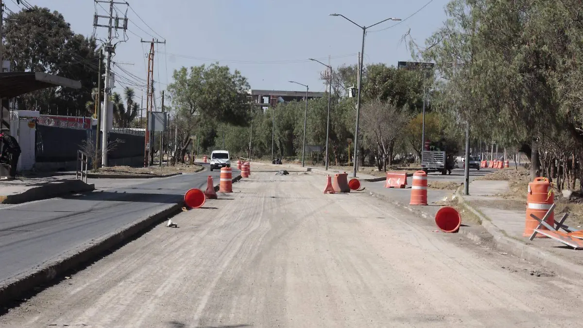 WhatsApp Image 2026-02-19 at 15.47.58