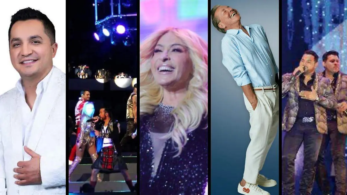 WhatsApp Image 2026-02-19 at 22.05.38