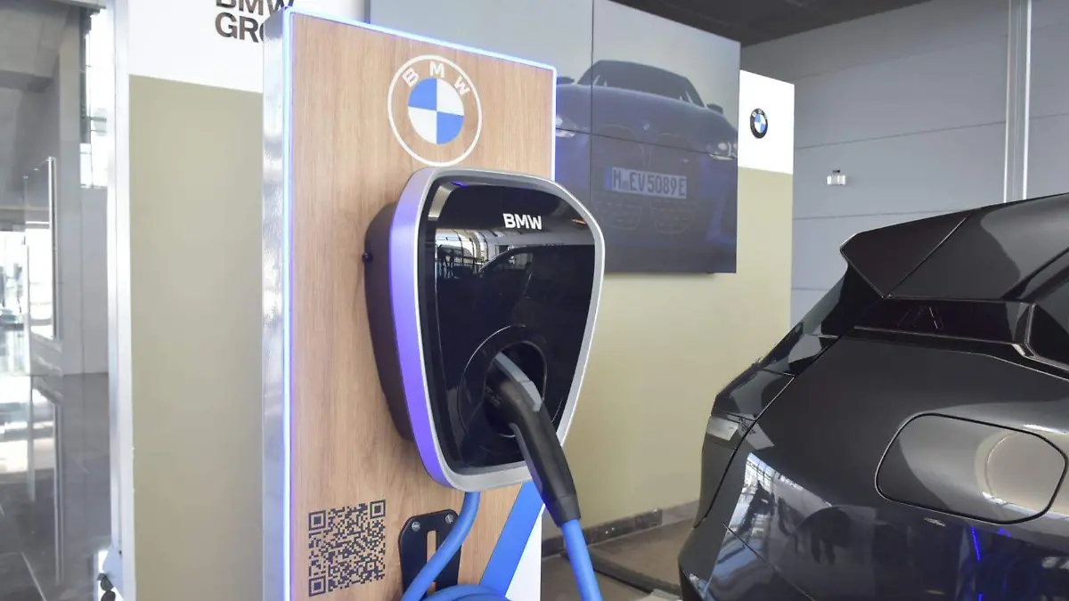 WhatsApp Image 2026-02-19 at 15.50.09