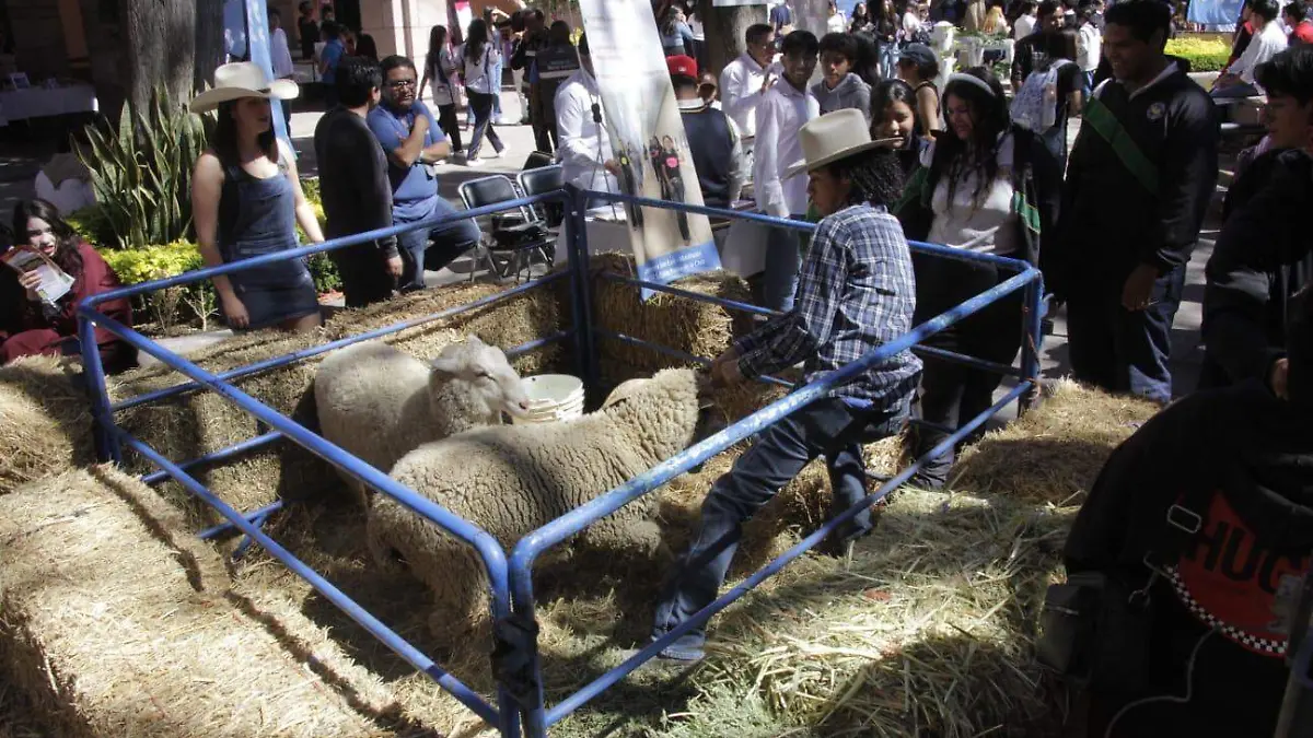 Feria de las Carreras Universitarias 2026  (1)