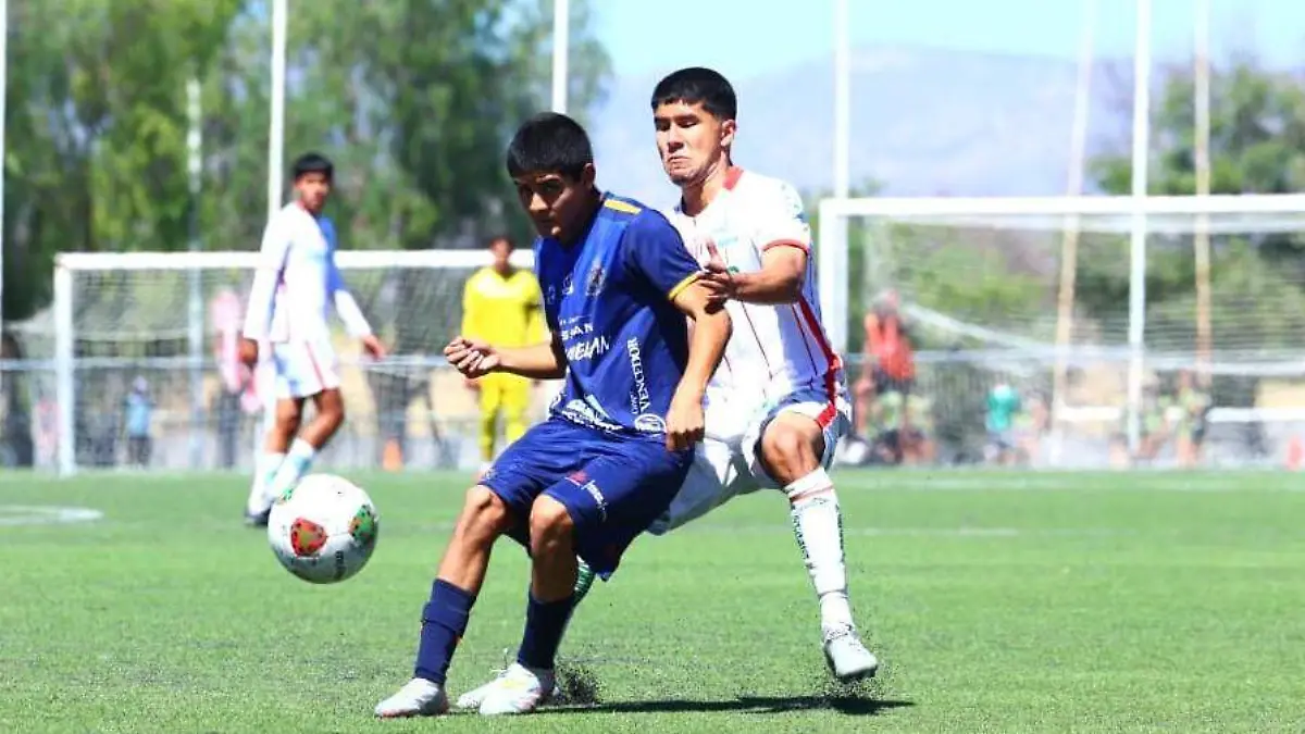 WhatsApp Image 2026-02-20 at 14.40.42