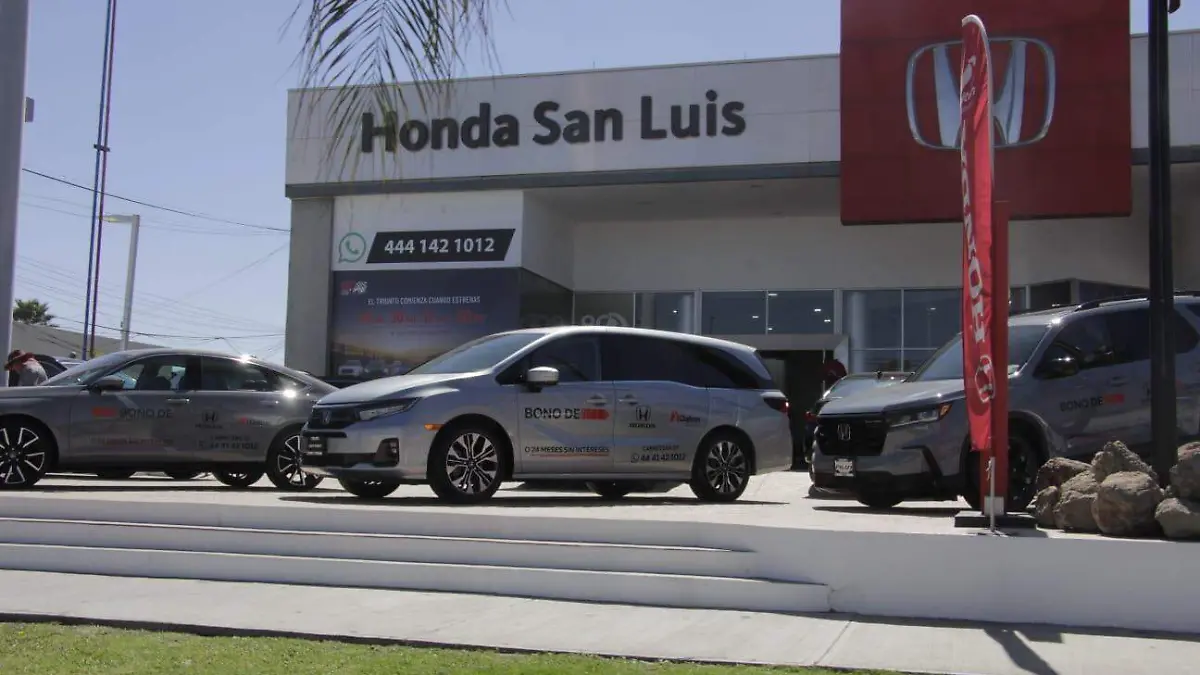 WhatsApp Image 2026-02-20 at 14.25.51