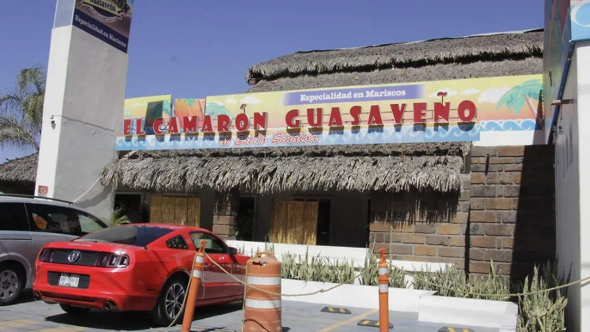 WhatsApp Image 2026-02-20 at 14.30.28