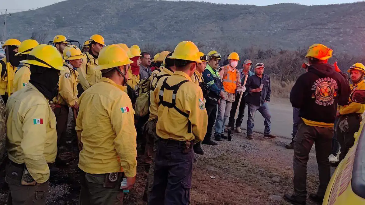 WhatsApp Image 2026-02-21 at 13.49.11