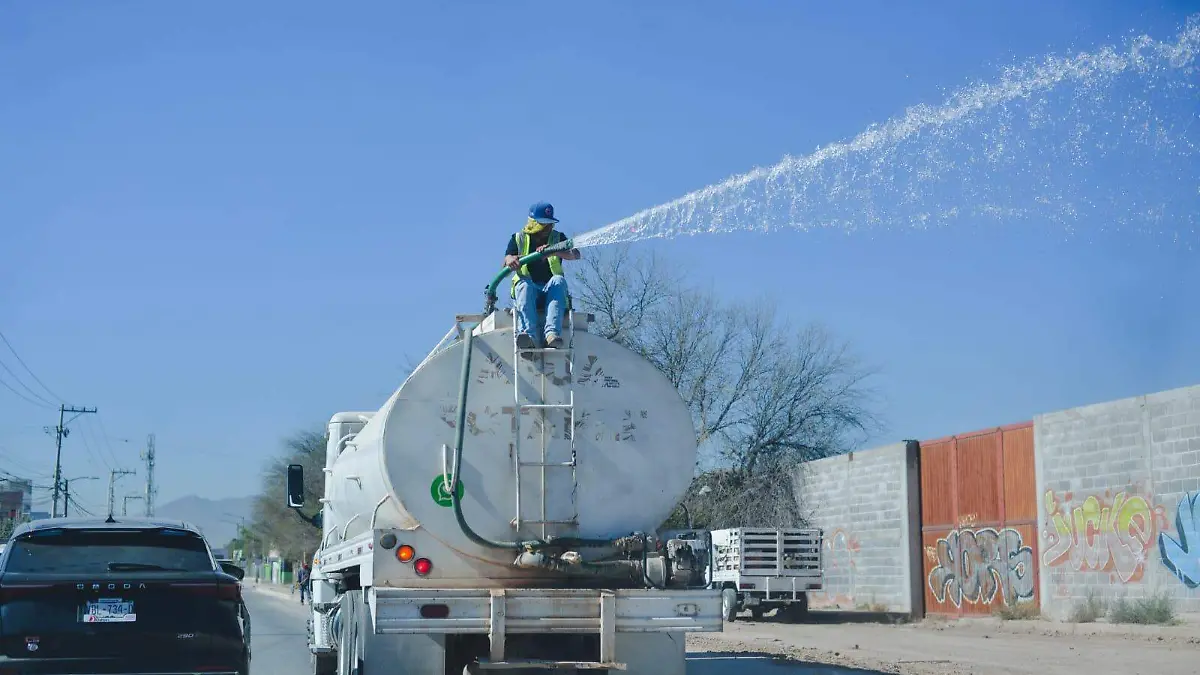 WhatsApp Image 2026-02-21 at 15.16.00