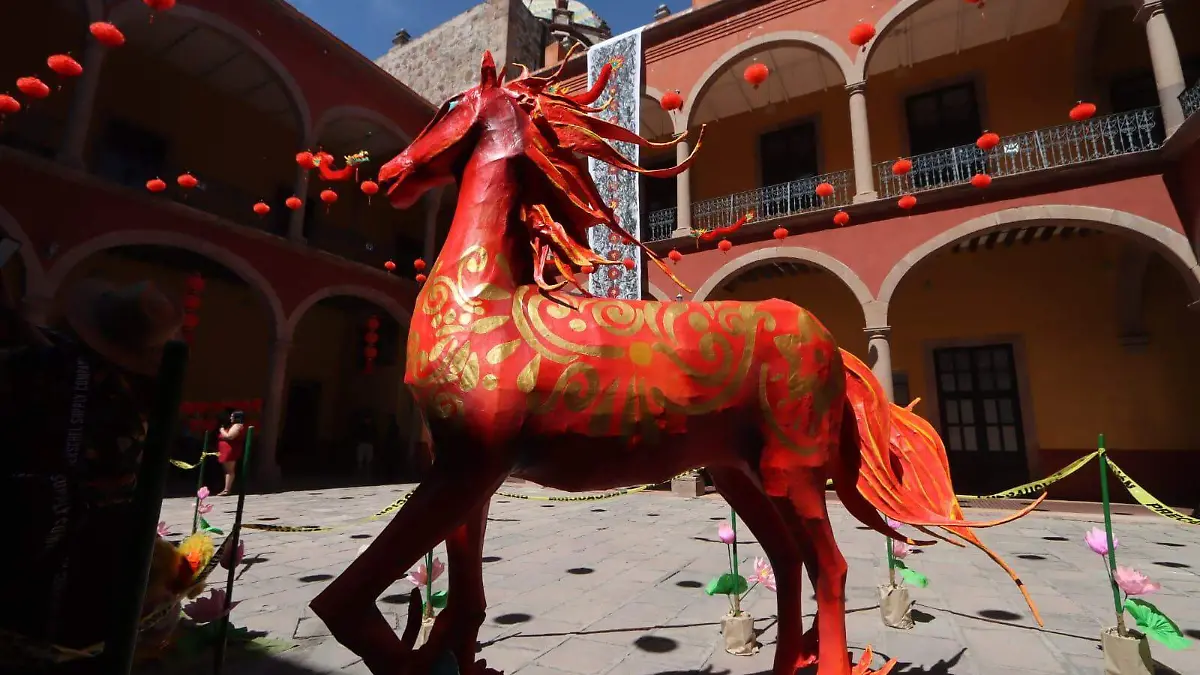 WhatsApp Image 2026-02-21 at 14.29.16