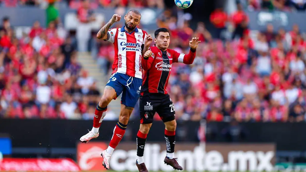 WhatsApp Image 2026-02-21 at 6.03.51 PM