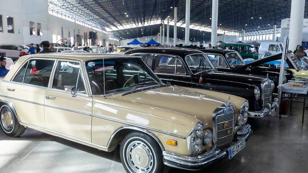 Día Nacional del Auto Antiguo 2026 (1)