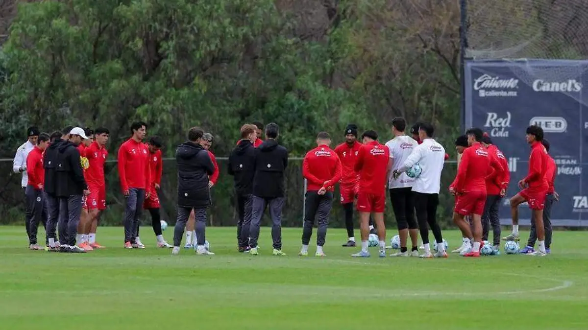 WhatsApp Image 2026-02-23 at 12.52.24 PM