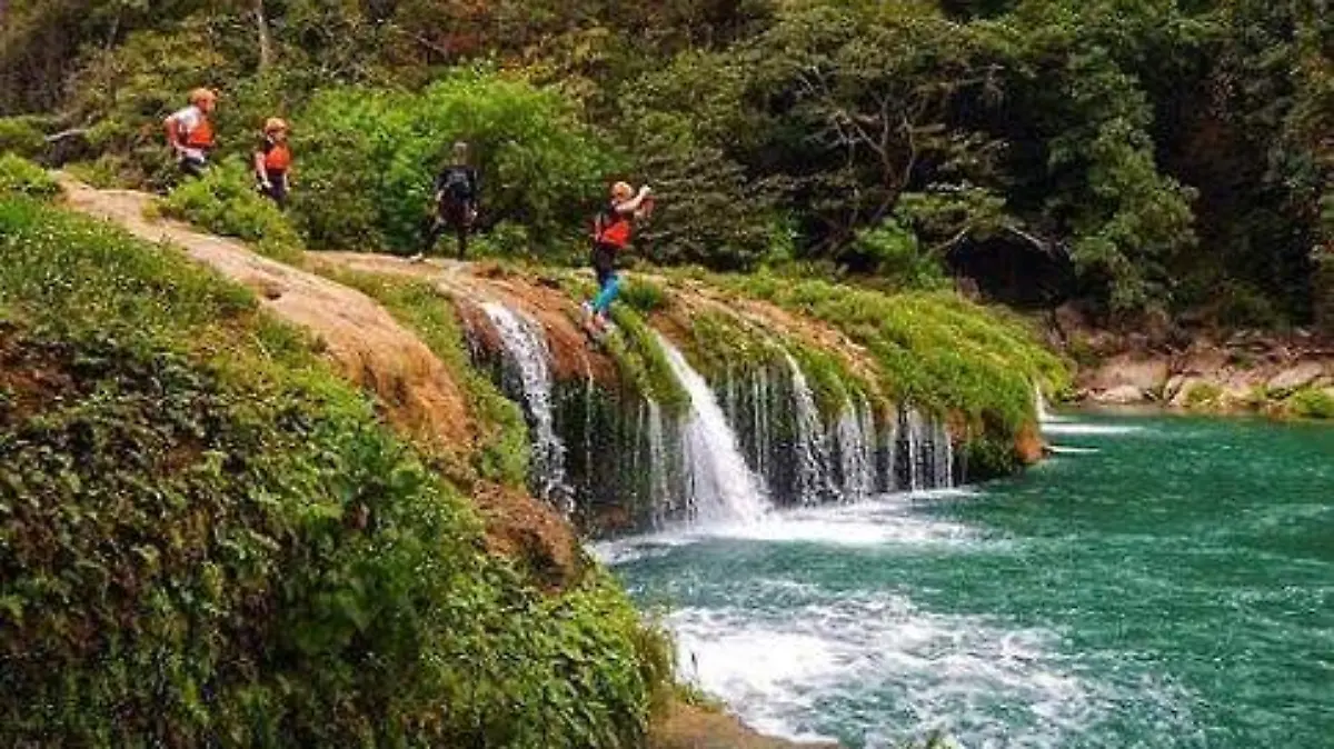 WhatsApp Image 2026-02-23 at 7.29.12 PM