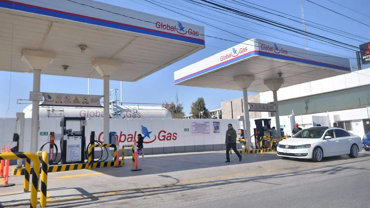 WhatsApp Image 2026-02-23 at 11.51.24 AM