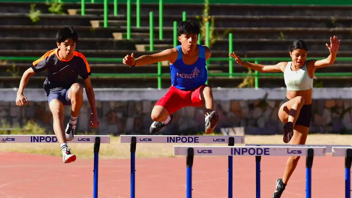 Liga Municipal de Atletismo