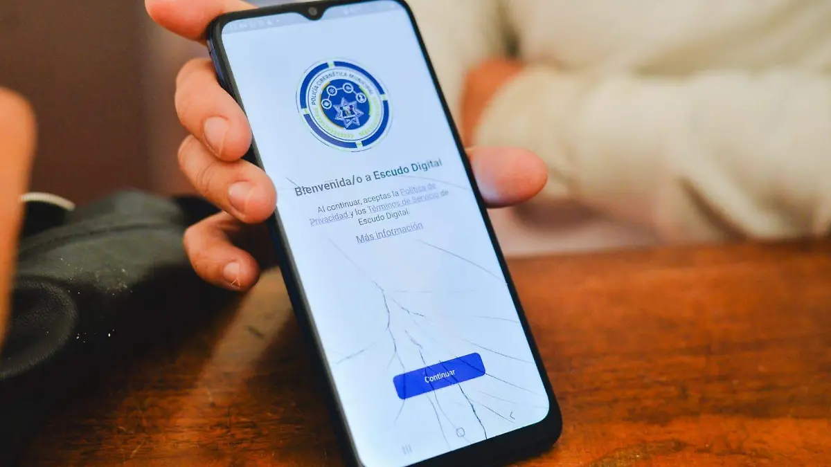 WhatsApp Image 2026-02-24 at 12.50.36