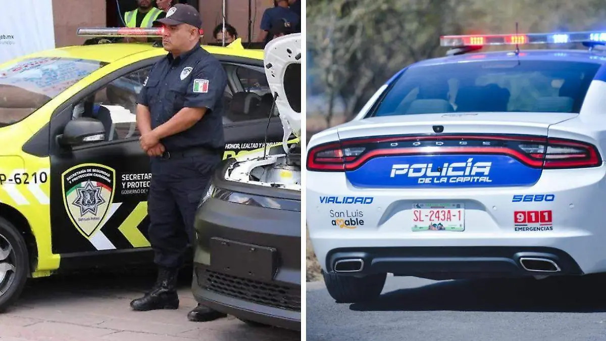 WhatsApp Image 2026-02-24 at 20.59.48