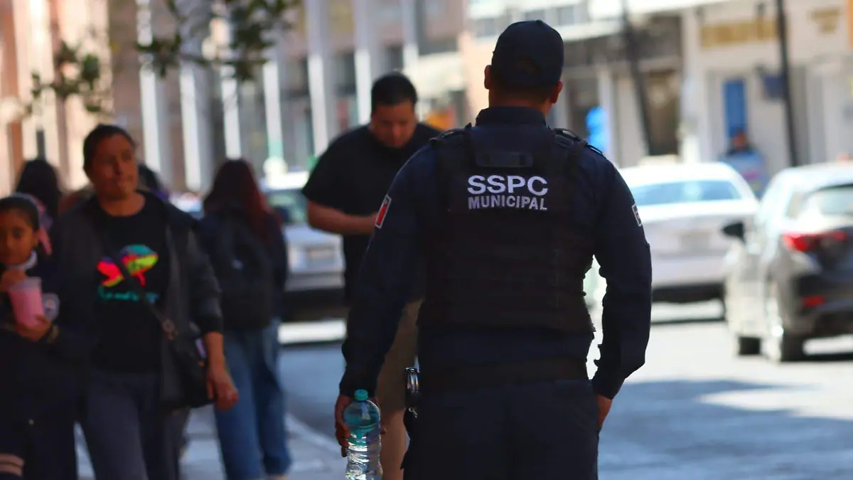 WhatsApp Image 2026-02-24 at 16.55.23