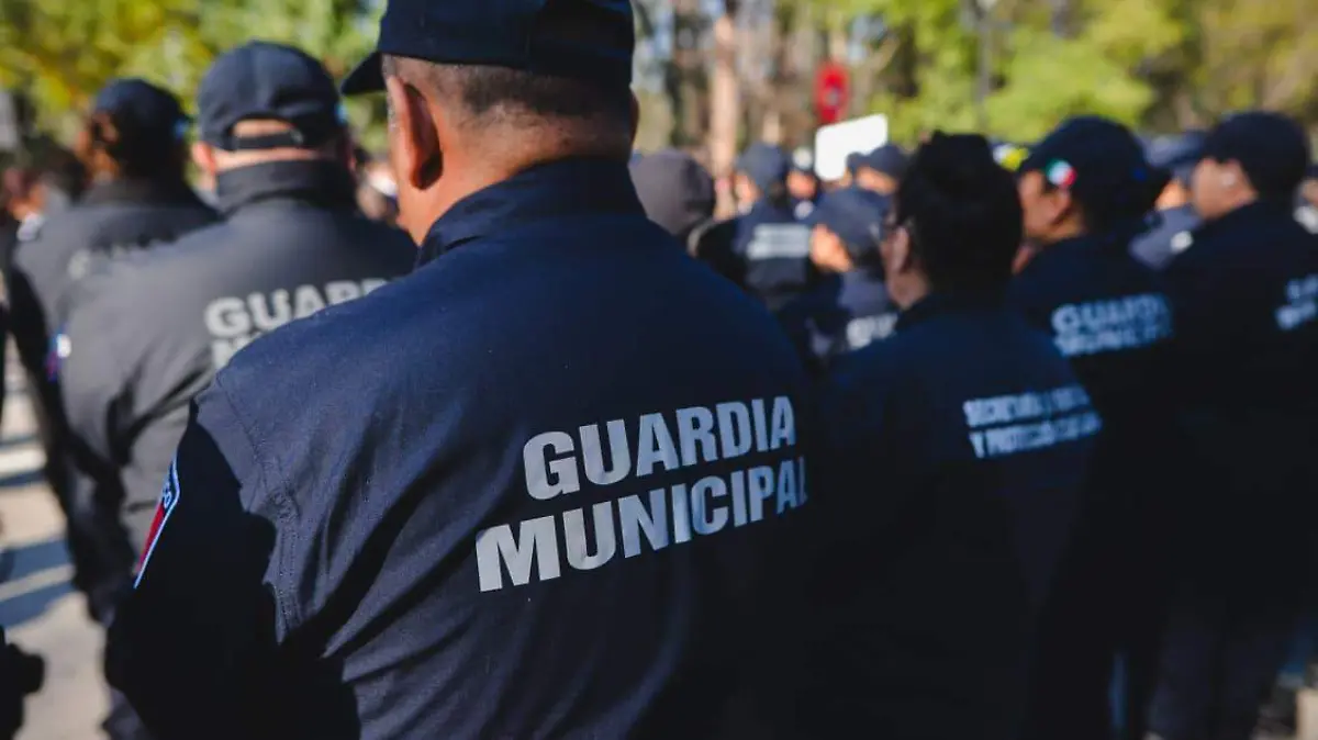 WhatsApp Image 2026-02-25 at 13.21.39