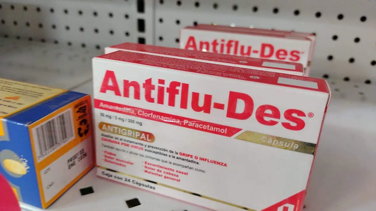 WhatsApp Image 2026-02-25 at 14.09.37