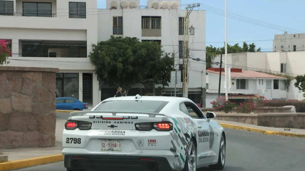 Secretaría de Seguridad y Protección Ciudadana  (2)