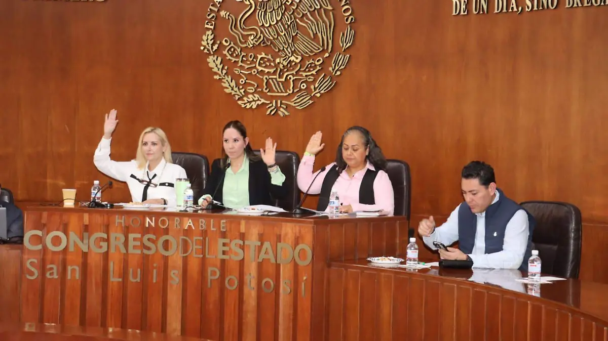 WhatsApp Image 2026-02-26 at 14.03.16