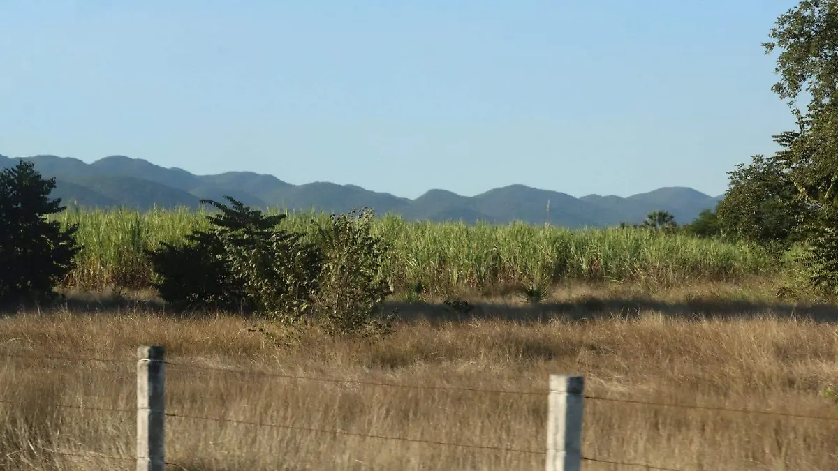 WhatsApp Image 2026-02-27 at 14.20.03