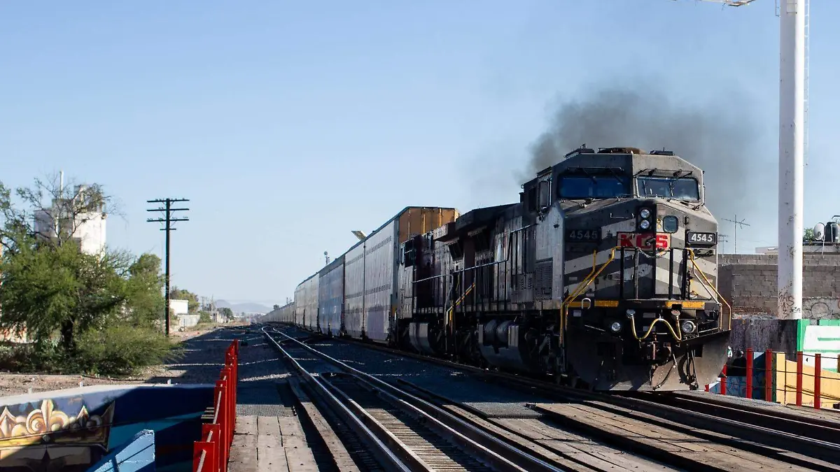 WhatsApp Image 2026-02-27 at 10.17.13