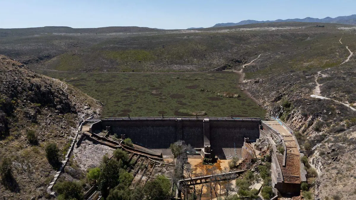 WhatsApp Image 2026-02-27 at 14.39.53