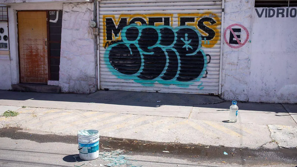 WhatsApp Image 2026-02-27 at 12.42.04