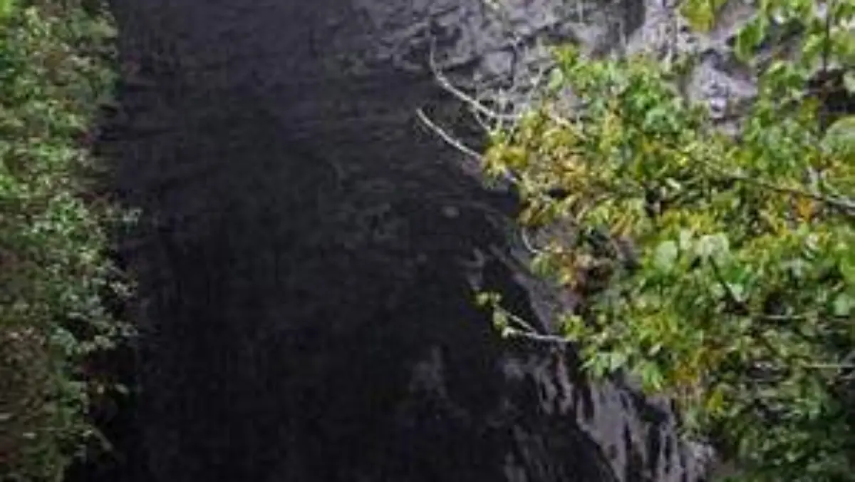 Sótano de las Huahuas