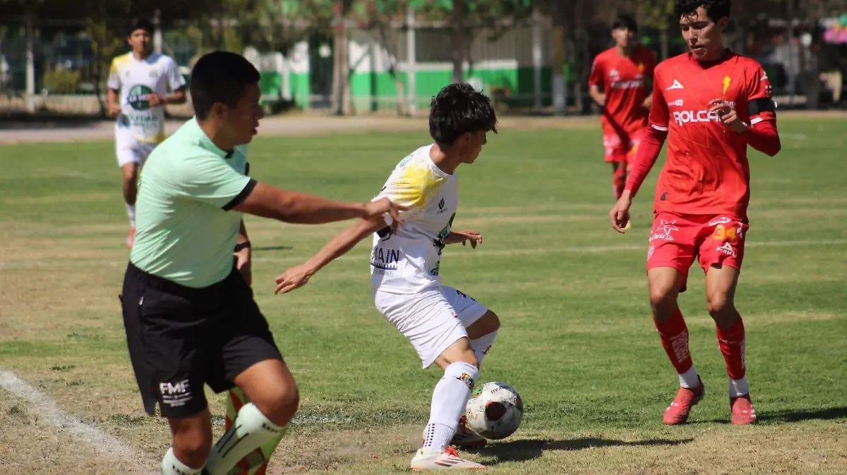 CEFOR Promotora San Luis