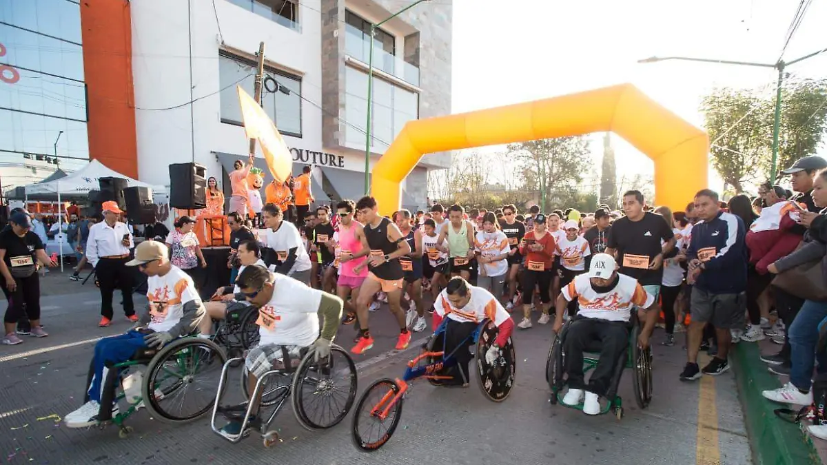 WhatsApp Image 2026-03-02 at 11.55.13