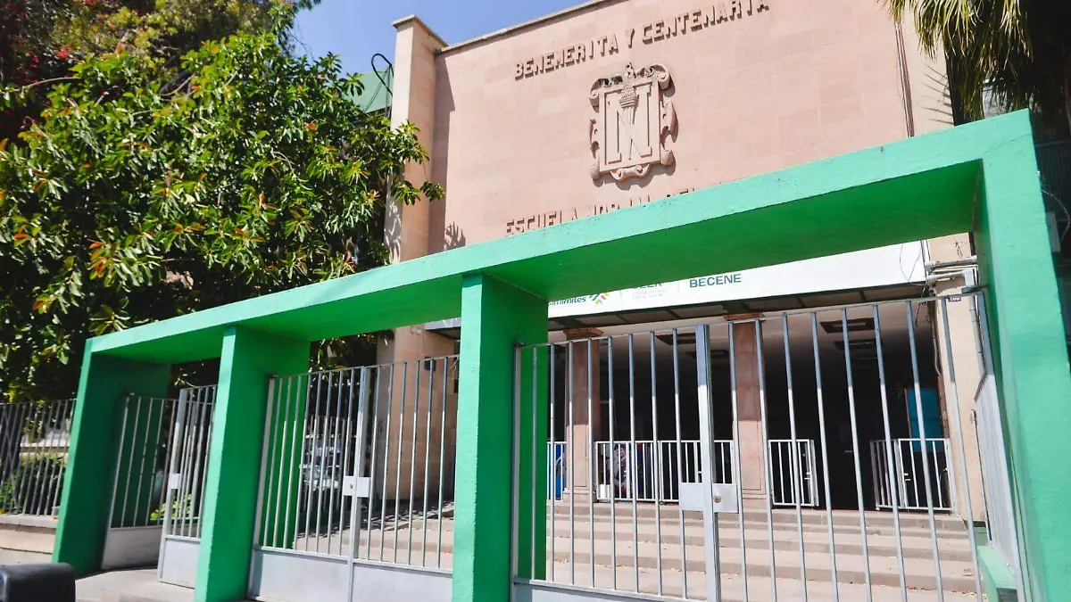 WhatsApp Image 2026-03-02 at 13.46.46