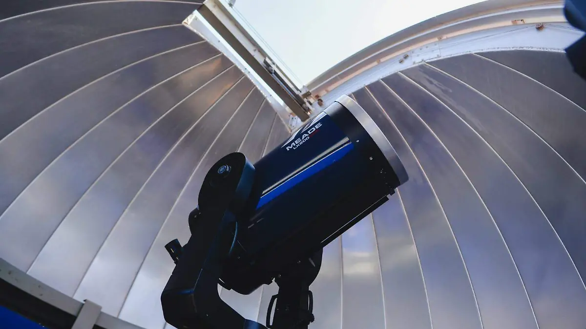 WhatsApp Image 2026-03-02 at 13.38.54