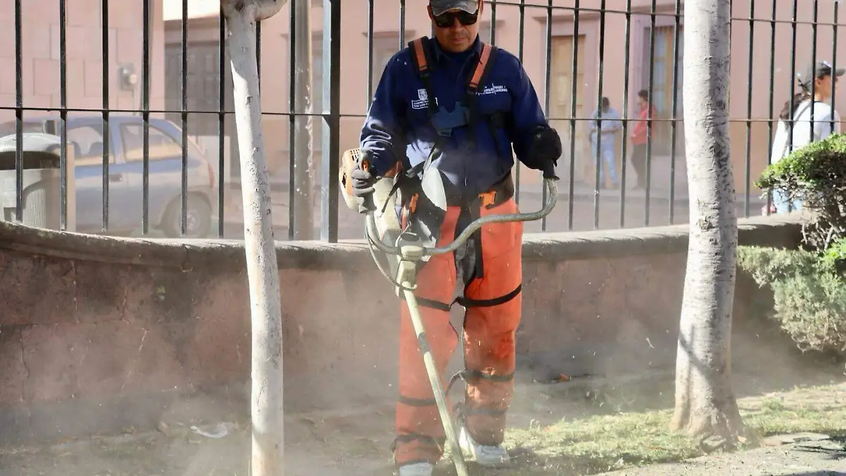 programa “Capital al 100”