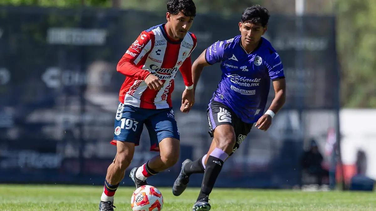 Fuerzas básicas del Atlético de San Luis